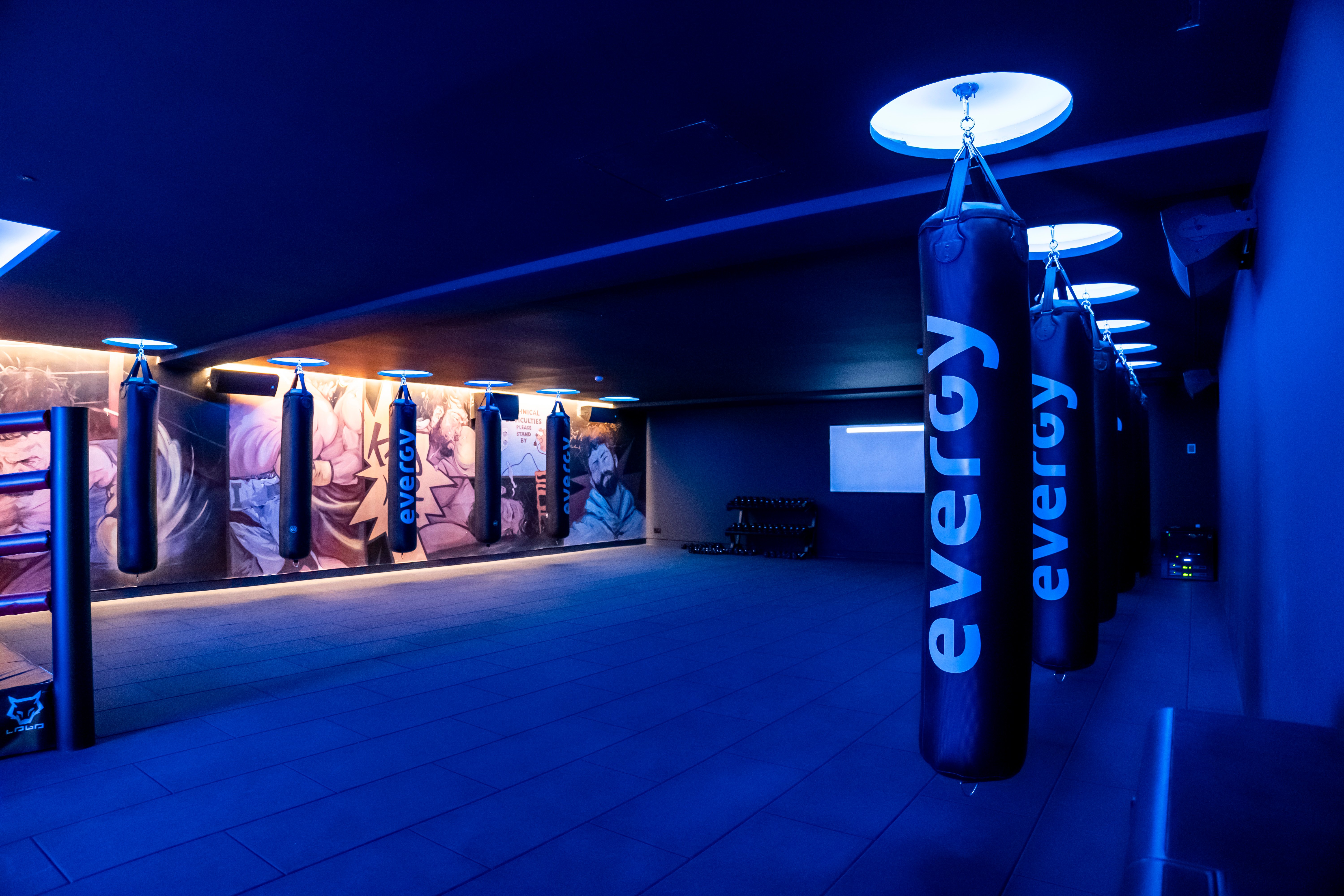 Sala de entrenamiento con sacos de boxeo evergy