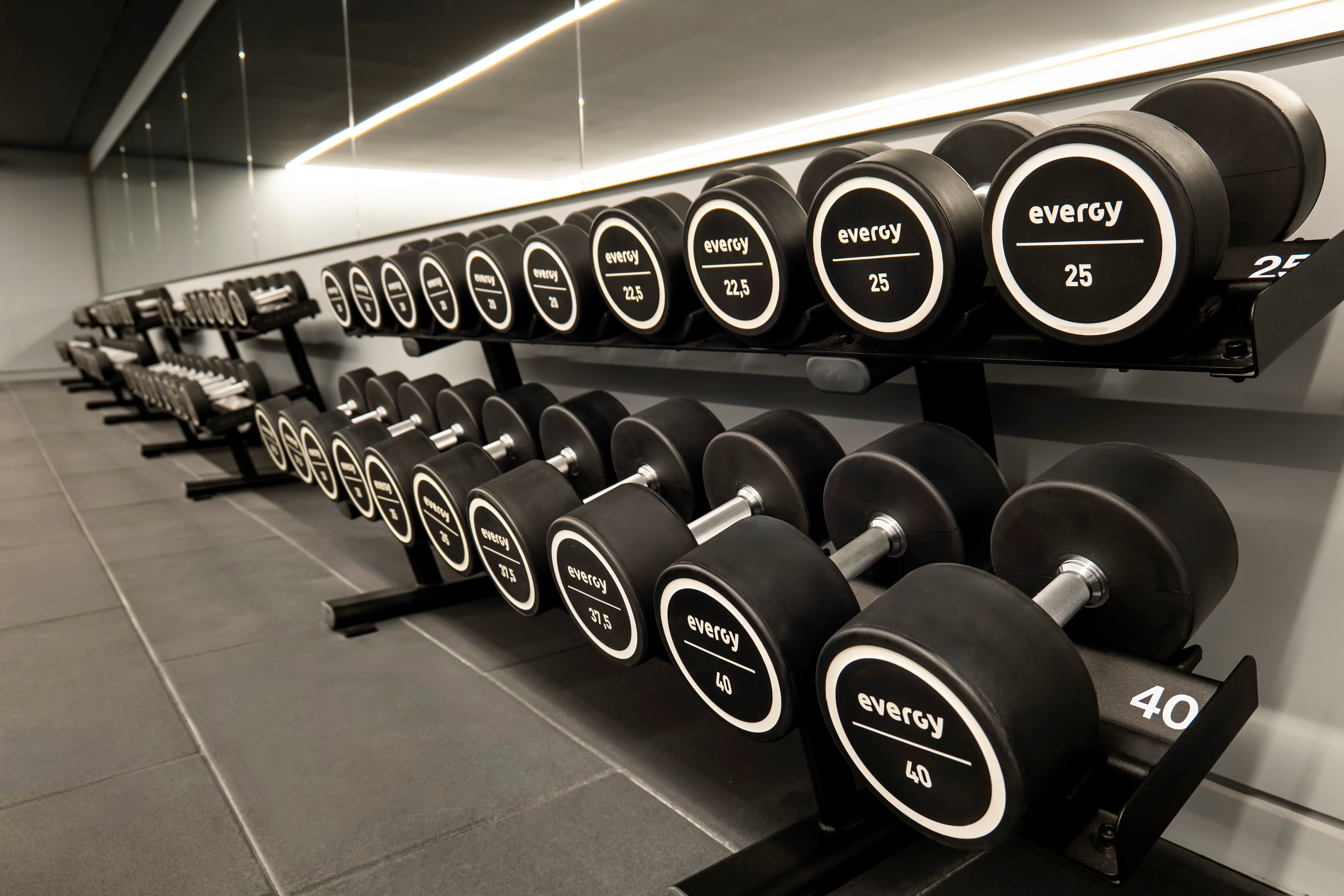 Zona de mancuernas en sala de entrenamiento con diseño profesional y equipamiento de alto rendimiento